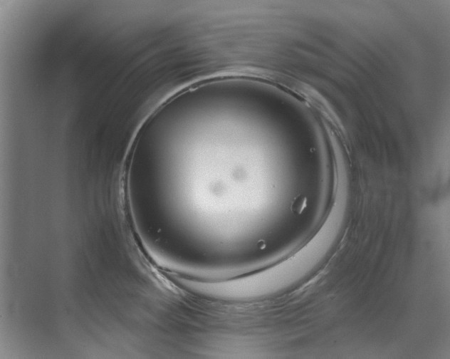 X0000071831292200606301309