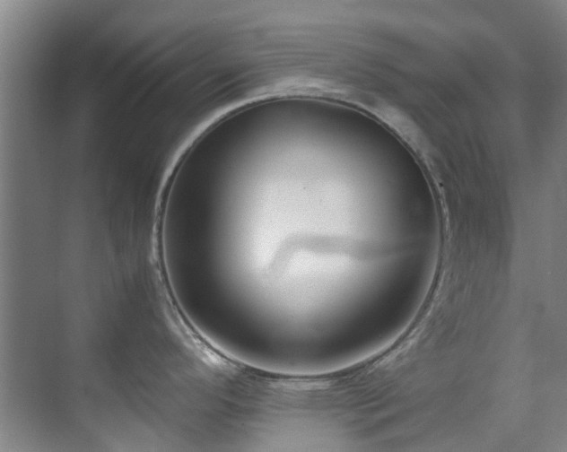 X0000071831296200606301309