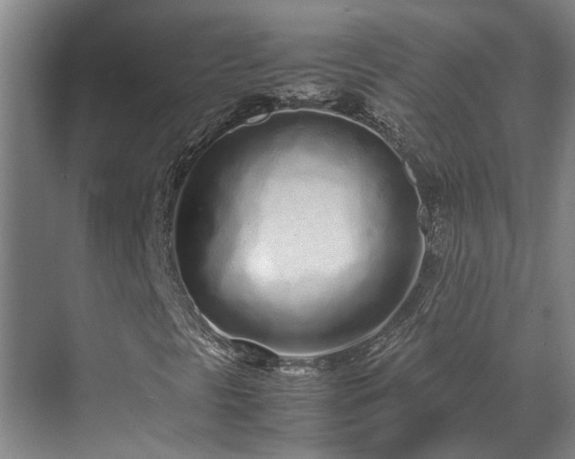 X0000071831297200606301308