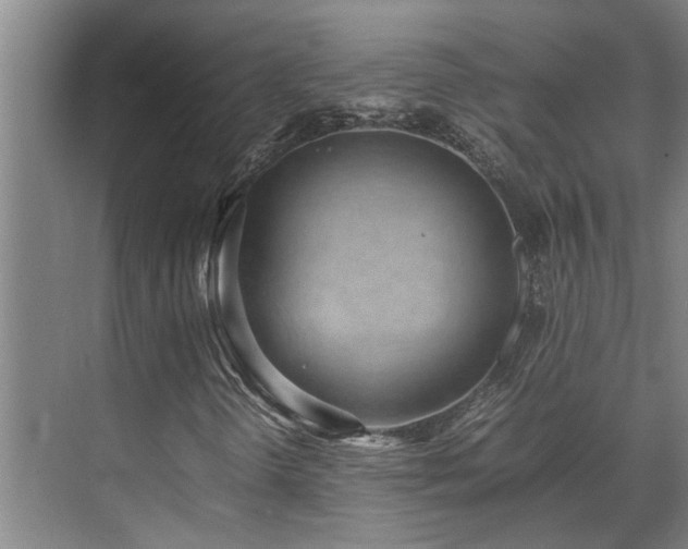 X0000071831298200606301308