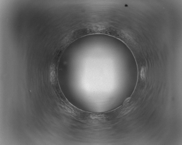 X0000071831299200606301308