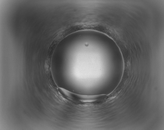 X0000071831300200606301308