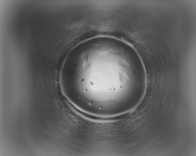 X0000071831301200606301308