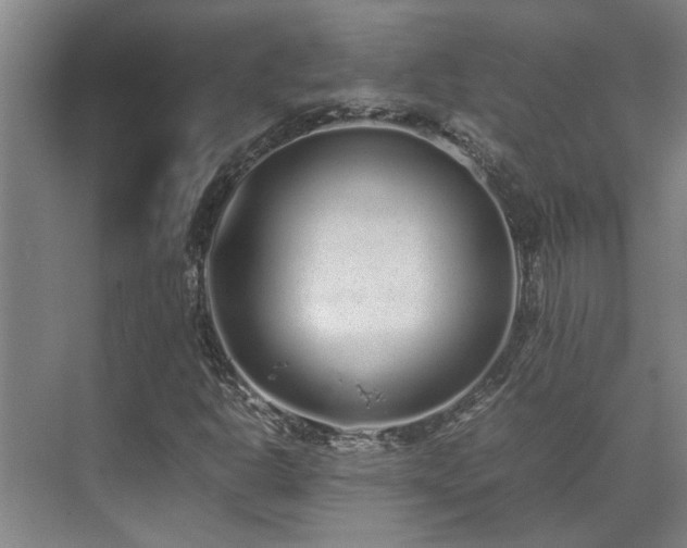 X0000071831302200606301308