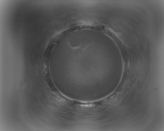 X0000071831303200606301308