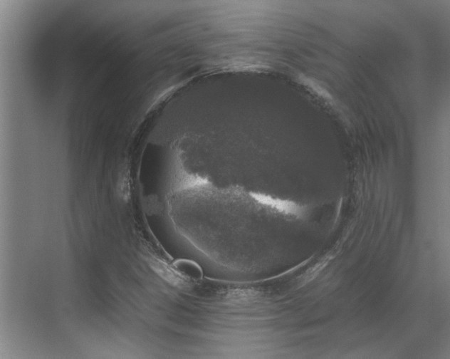 X0000071831306200606301308