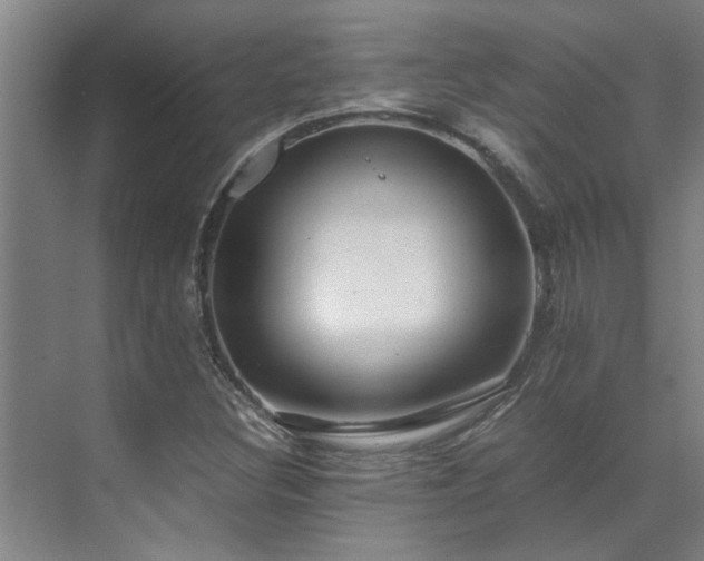 X0000071831308200606301308