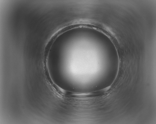 X0000071831312200606301308