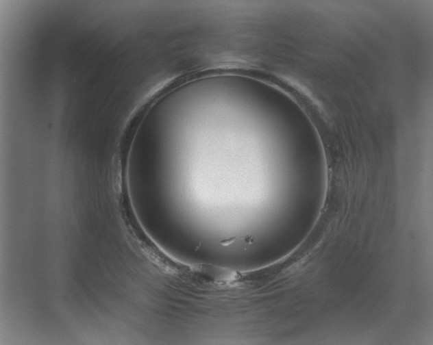 X0000071831317200606301308