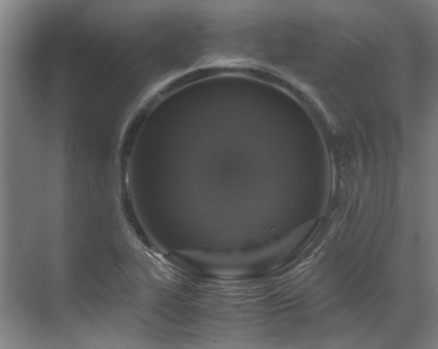 X0000071831319200606301308