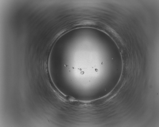 X0000071831321200606301308