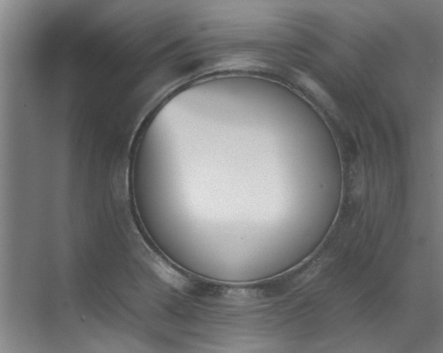 X0000071831322200606301308