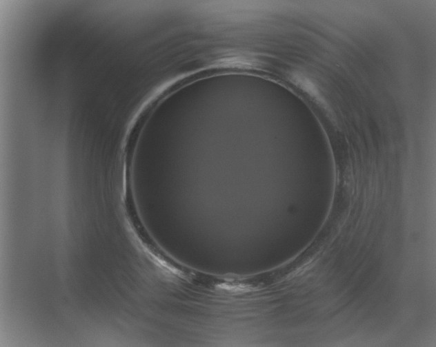 X0000071831323200606301308