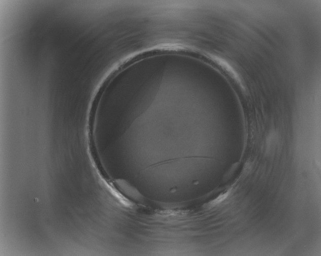 X0000071831327200606301309