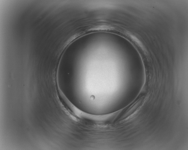 X0000071831329200606301309