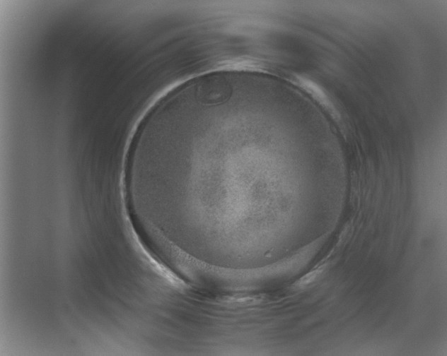 X0000071831331200606301309