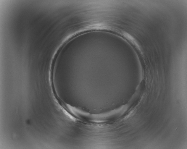 X0000071831334200606301309