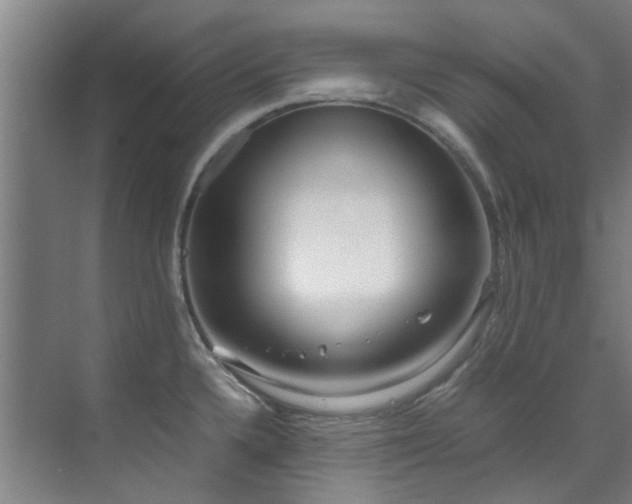 X0000071831336200606301309