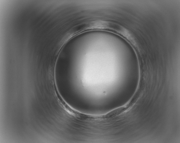 X0000071831337200606301309