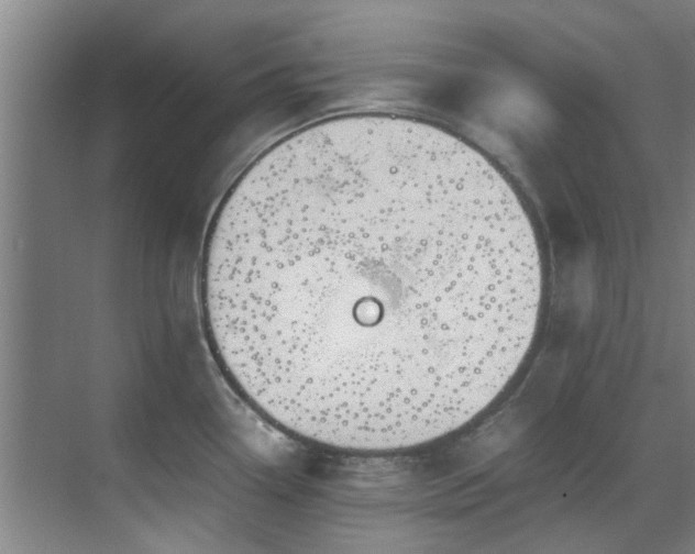 X0000071831338200606301309