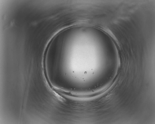 X0000071831339200606301309