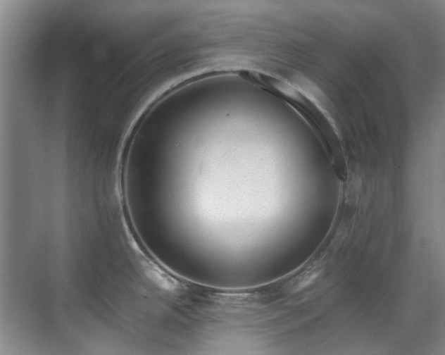 X0000071831342200606301309