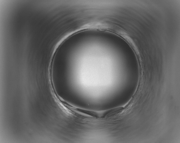 X0000071831344200606301309