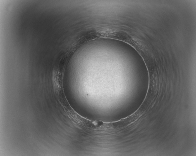 X0000071831346200606301308