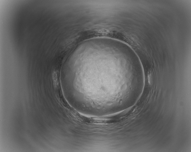 X0000071831347200606301308