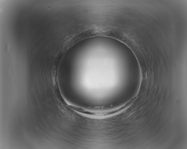 X0000071831348200606301308