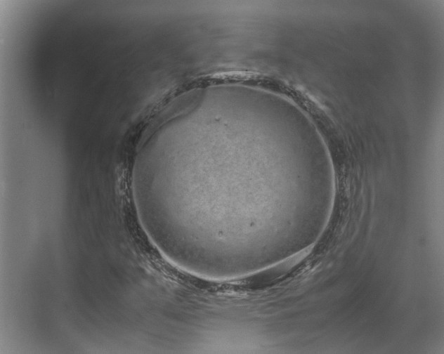 X0000071831351200606301308