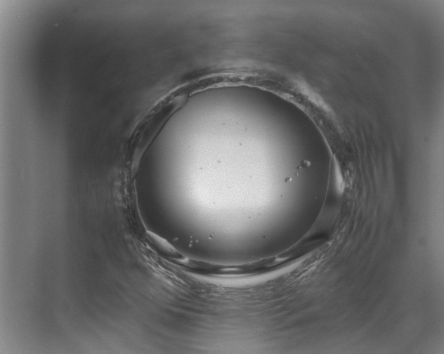 X0000071831352200606301308