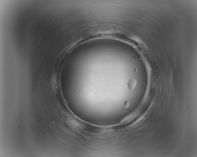 X0000071831353200606301308