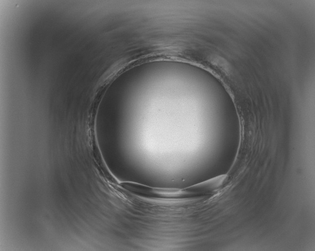 X0000071831354200606301308