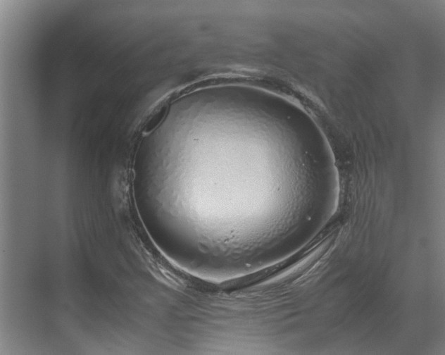 X0000071831355200606301308