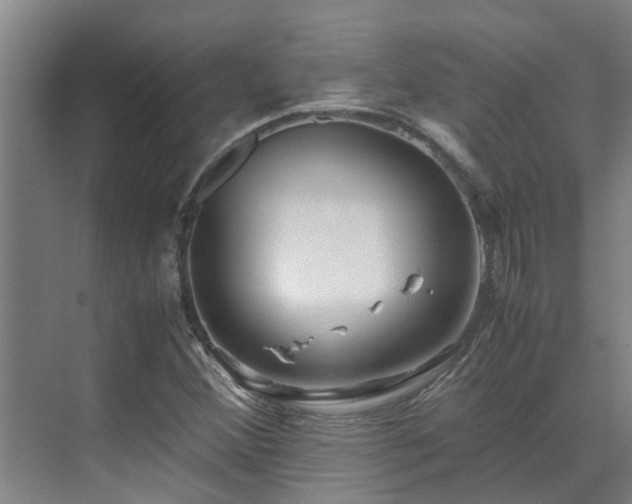 X0000071831356200606301308