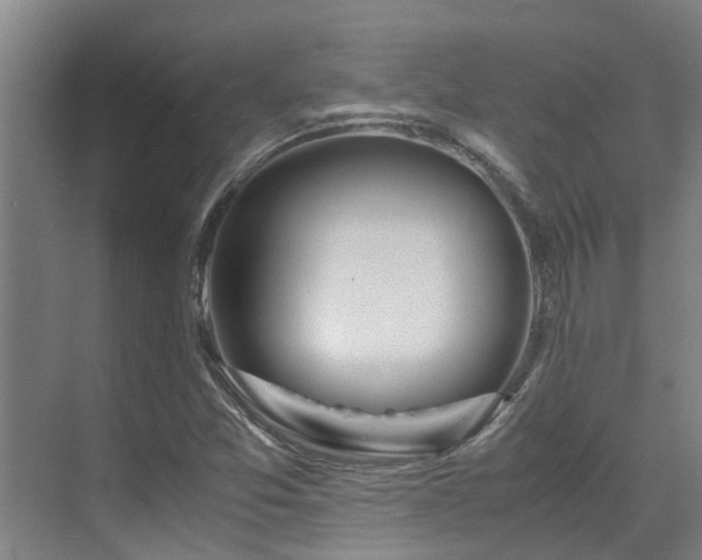 X0000071831357200606301308