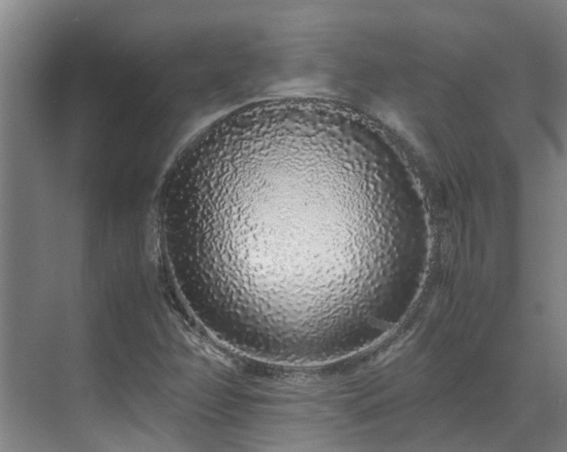 X0000071831358200606301308