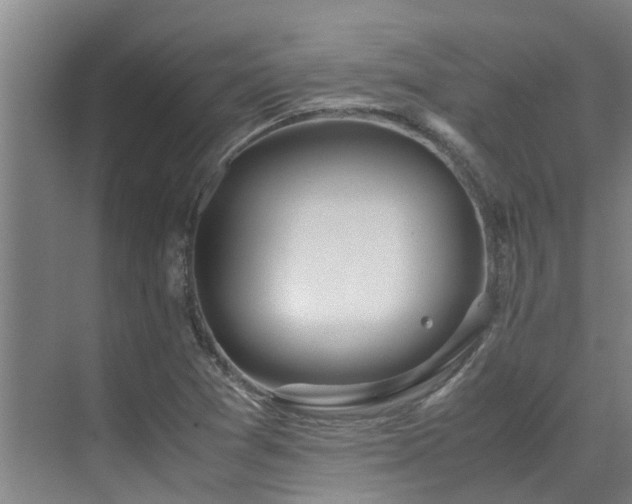 X0000071831361200606301308