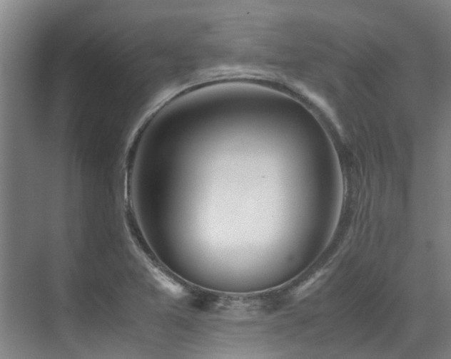 X0000071831365200606301308