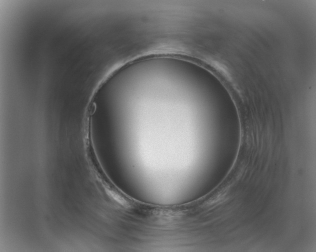 X0000071831366200606301308