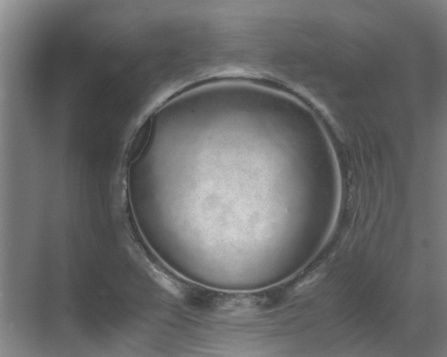 X0000071831367200606301308