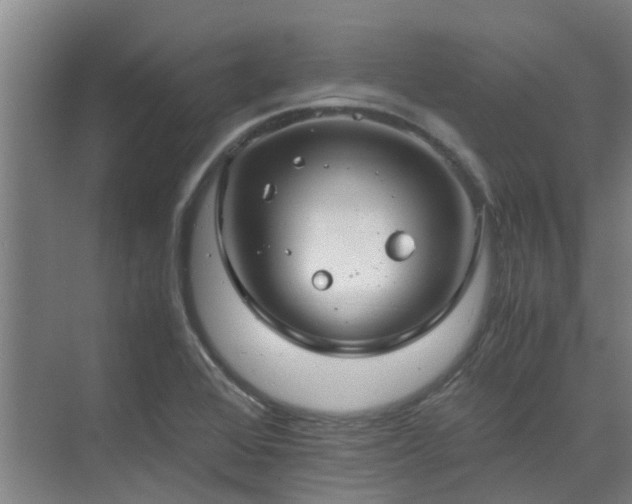 X0000071831368200606301308