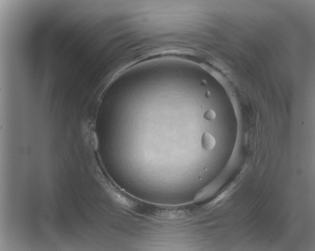 X0000071831369200606301308