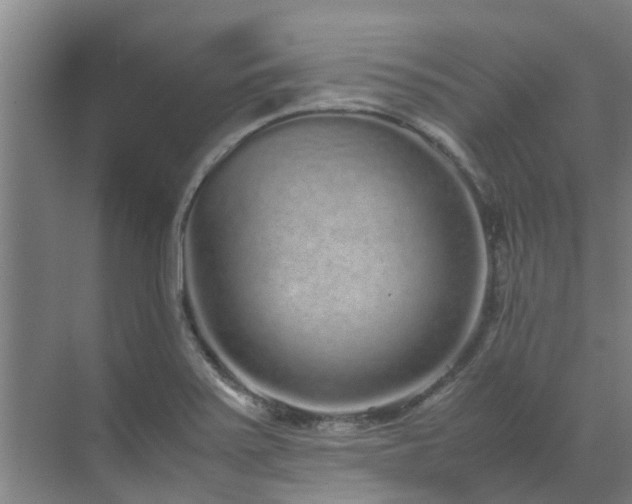 X0000071831371200606301308