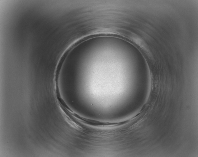 X0000071831372200606301308