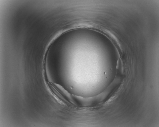 X0000071831373200606301308