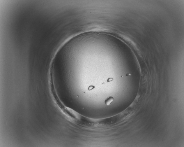 X0000071831375200606301307