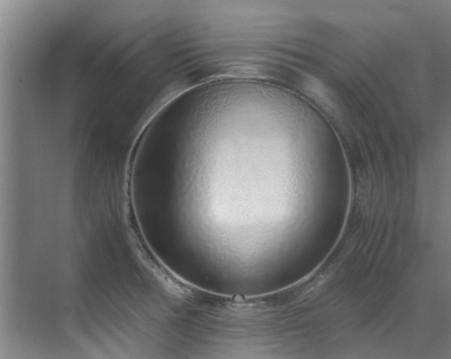 X0000071831378200606301307