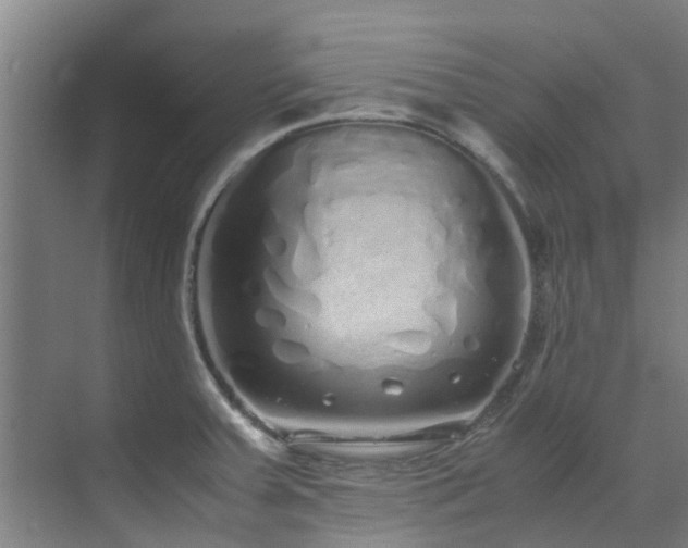 X0000071831379200606301307